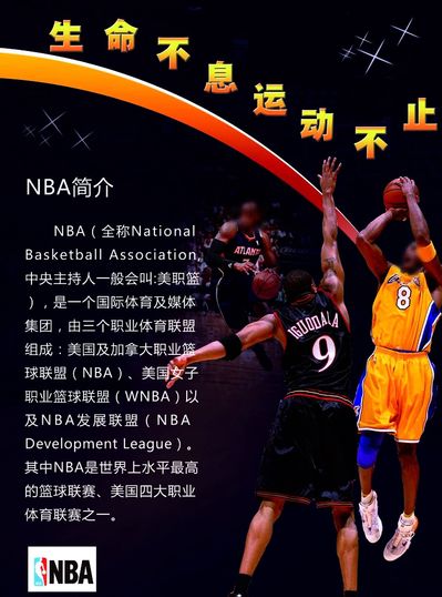 说明