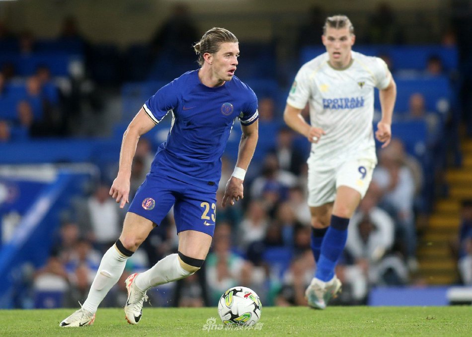 也打下了坚 也打下了坚