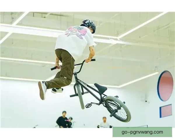 BMX世界纪录：速度与技艺的极限挑战