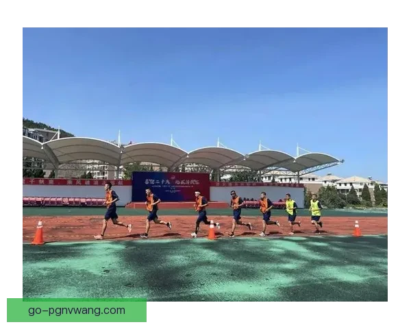 体操联赛新风采：挑战无限，梦想起航