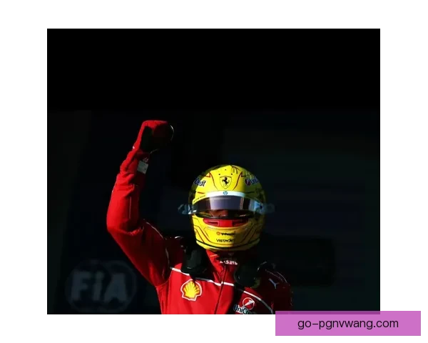 F1数据分析：揭秘速度与战术的完美结合