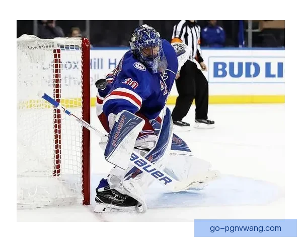 冰球世界纪录大揭秘：揭示全球独一无二的壮举与奇迹