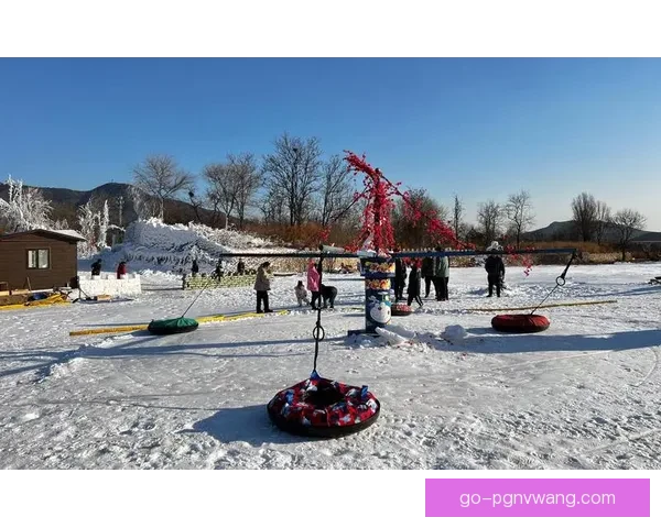 冰雪乐园：畅享雪季极速滑雪乐趣
