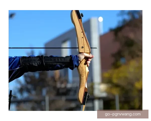 射箭世界纪录：无人能破的弓箭壮举