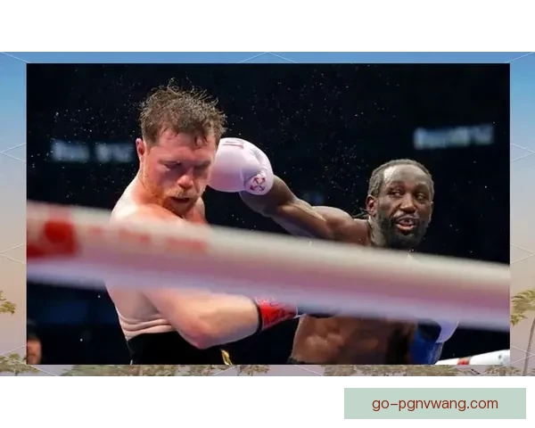 拳坛传奇：聚焦拳击冠军的辉煌成就