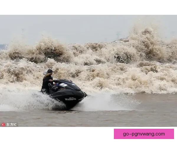 探寻冲浪高手：挑战排名榜的壮举