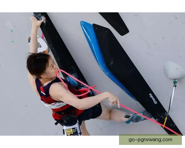 攀岩赛事预测：挑战极限，预见未来