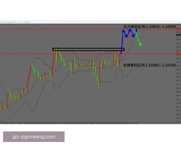 摔跤数据研究：洞悉技术之美