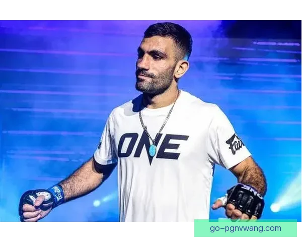 搏击巅峰：挑战者之战---摔跤联赛角逐全明星