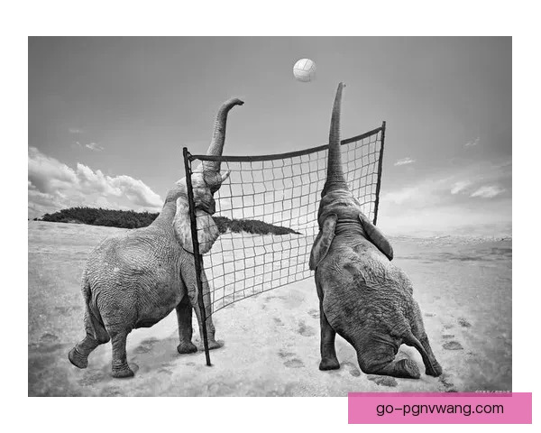 柔道大师传授：精湛技巧解析，提升实战能力