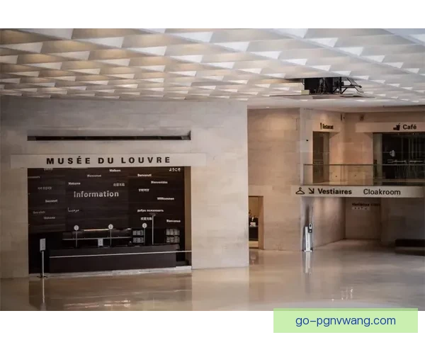 最新橄榄球排名：探索世界橄榄球界的强者们