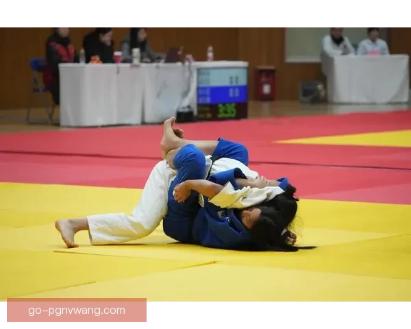 柔道锦标赛：力量与技巧的巅峰对决