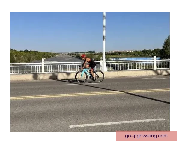 激情回放：挑战摔跤巅峰，勇者荣耀绽放