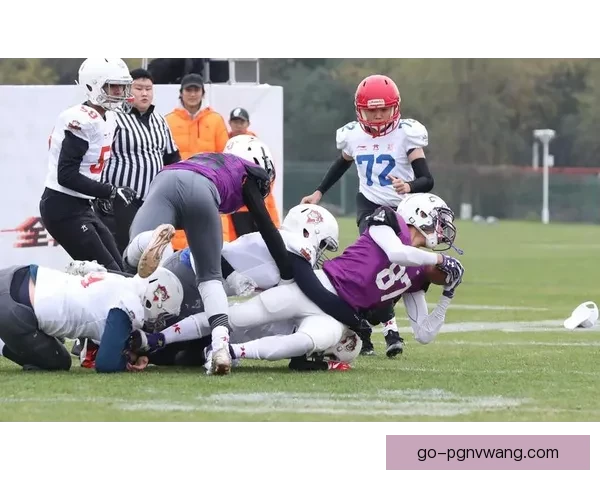 橄榄球盛况：锦标争雄，风起云涌