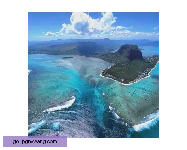 潜游水下探索：畅游深海奇观，直播全息水下世界