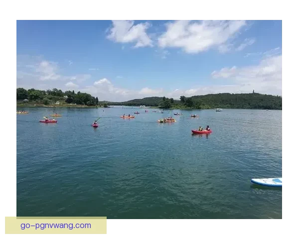 精通皮划艇投注技巧的秘诀分享