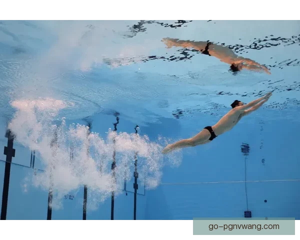 跳水投注技巧全面解析及实战指导